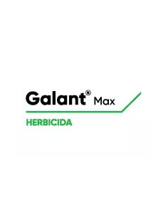 Producto Galant Max Imagen 1