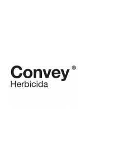 Producto Convey Imagen 2